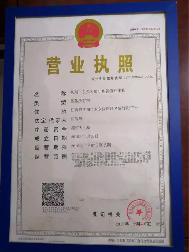 多元经营 现代零售业务的扩展与整合